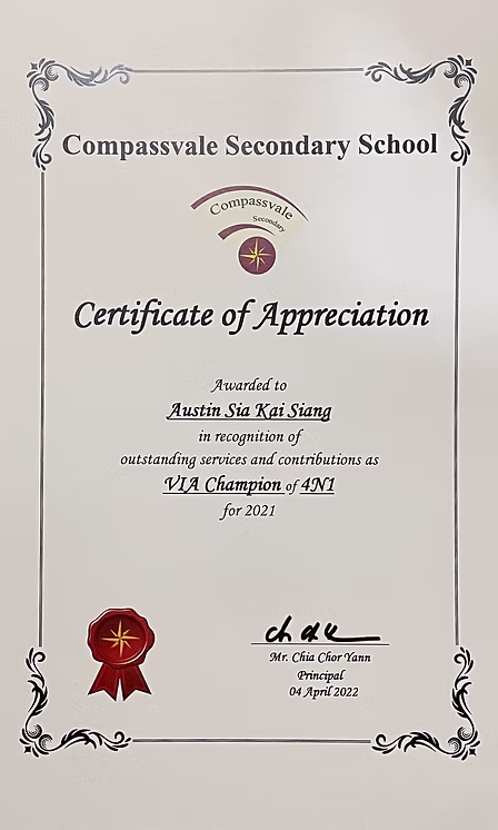 VIA Champion 2021 certificate